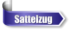 Sattelzug